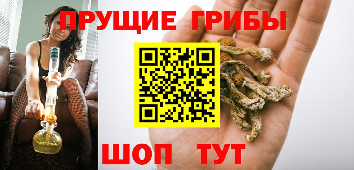 Алапаевск  Псилоцибиновые грибы прущие грибы  Вход с VPN 